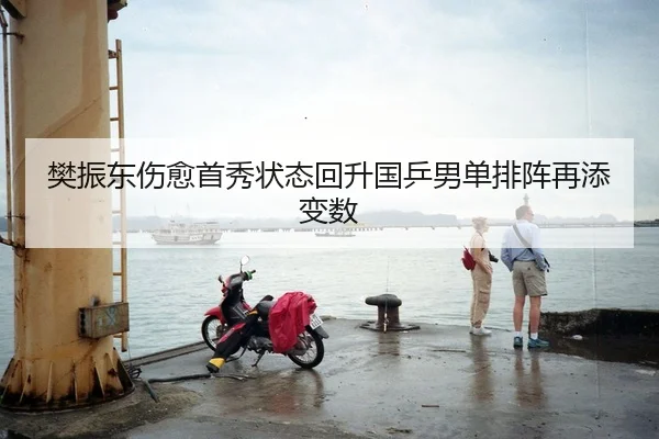 樊振东伤愈首秀状态回升国乒男单排阵再添变数