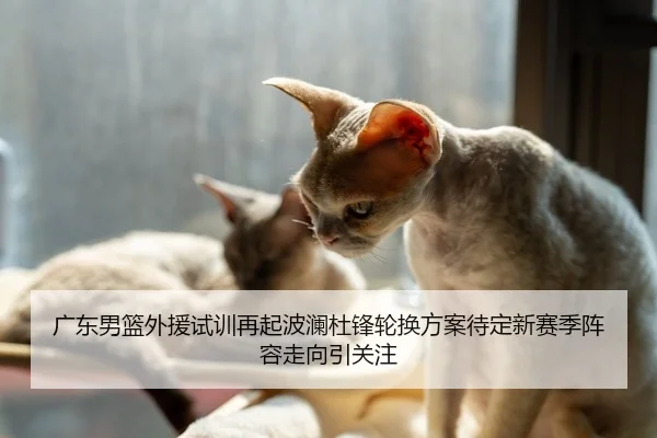 广东男篮外援试训再起波澜杜锋轮换方案待定新赛季阵容走向引关注